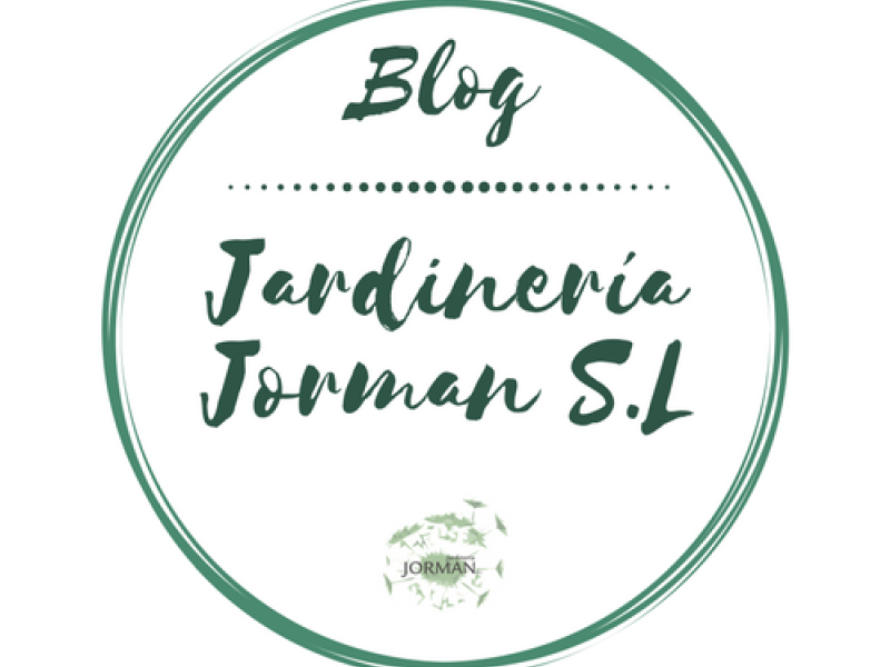 Plantas aromáticas y culinarias 