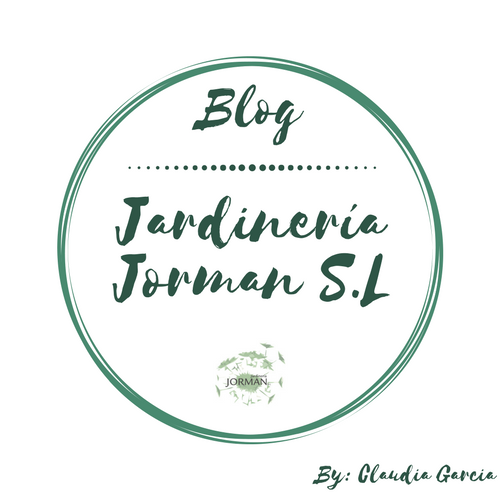 ¿Cómo convertir tu terraza en un jardín? 
